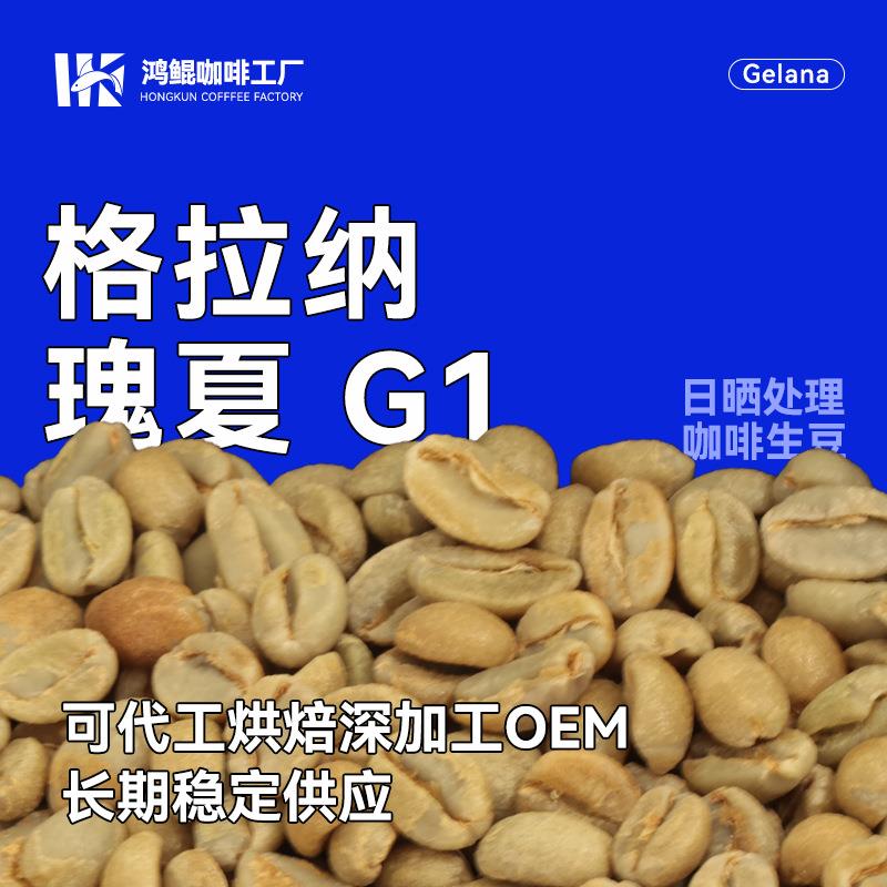 咖啡生豆2024年埃塞古吉 格拉 纳庄园 瑰夏G1日晒精品商用拼配1kg