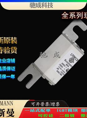 巴斯曼170M1365 170M1319 170M1509 现货直销销售价优 原装熔断器
