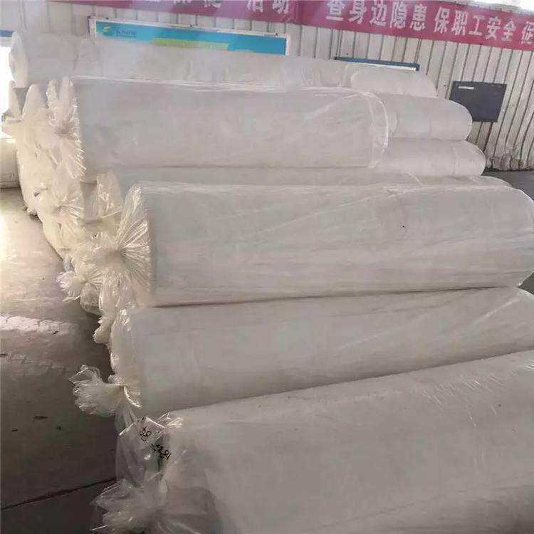复合聚酯长丝无纺土工布白色长纤针刺土木布