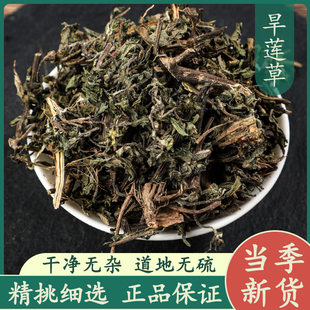 旱莲草50g中药材正品新鲜干货精选无硫墨旱莲草可磨墨旱莲叶粉