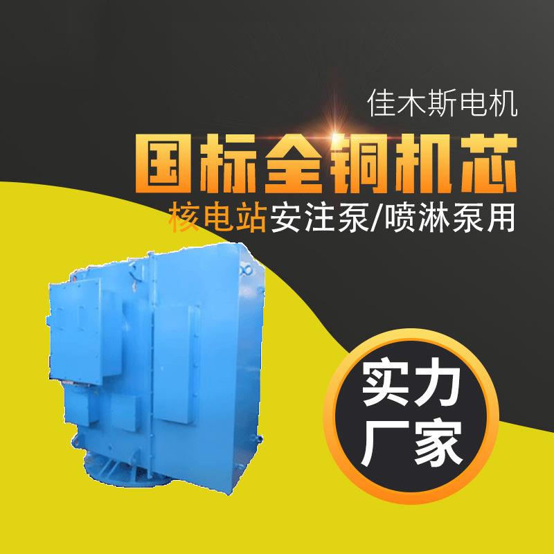 佳木斯电机HYLKS400-4核电站安注泵、喷淋泵用电动机全铜电机品质