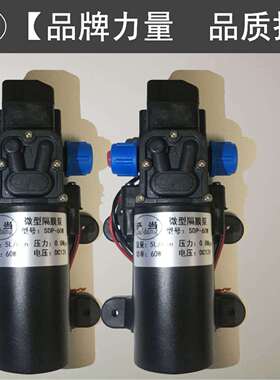 sa/dang电动隔膜泵 泵增压泵小型洗车水泵直流12v60w抽水泵