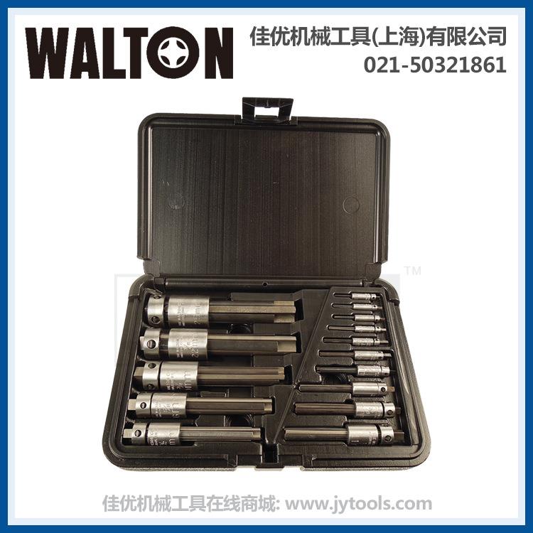 WALTON 18015-3 15件套 折断丝锥取出器套装 用于直槽 3刃