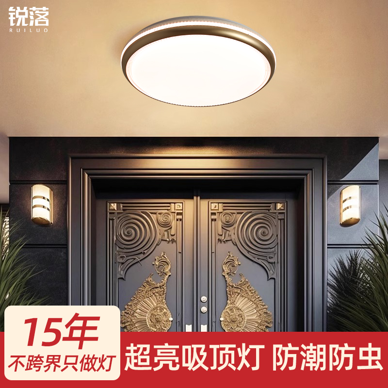 别墅大门口吸顶灯门厅入户灯农村自建房户外N屋檐阳台室外防潮防