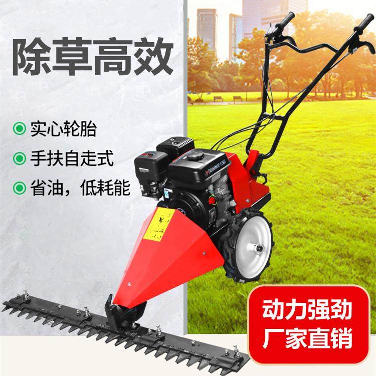 3档调节带转向手扶园林剪草割草机 自走式汽油剪草机 杂草割倒机,鲜花速递/花卉仿真/绿植园艺,割草机/草坪机,淘宝优惠券,粉丝福利购,淘宝优惠卷