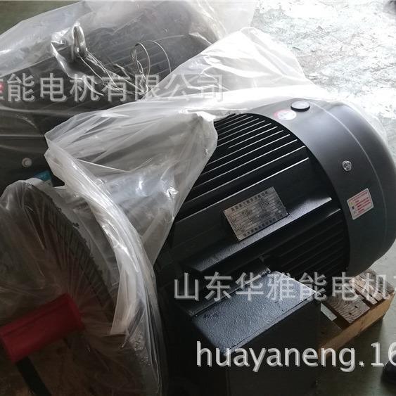 曲阜金升电机鲁都YB3-H180L-4-22电机60HZ频率 卧式顺时非轴伸端