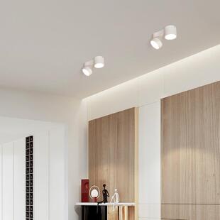 西亚明装筒灯散光led天花灯双头斗胆灯可调角度射灯无主灯照明