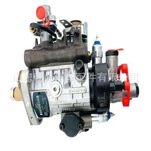 德尔福油泵 RE572111 柴油机喷油泵 9522A240W