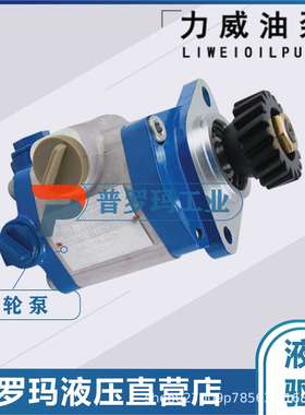 合肥力威汽车转向油泵助力泵二汽地龙非开挖合肥天力QC12/23-EQ