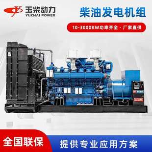 发电机组 发电机 博杜安玉柴200kw柴油发电机组 柴油发电机