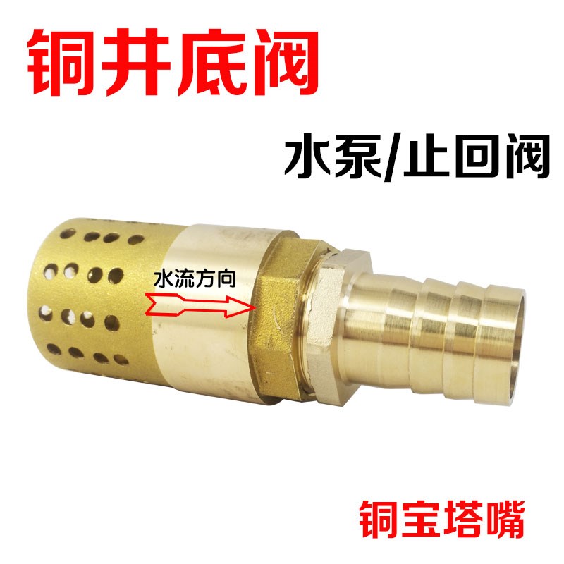 水泵抽水a止回阀带宝塔嘴井底阀插管铜头钢丝皮管抽井水逆止阀253