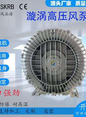 跨境漩涡风机7.5KW高压旋涡气泵RB-81D-3性能稳定高压鼓风机