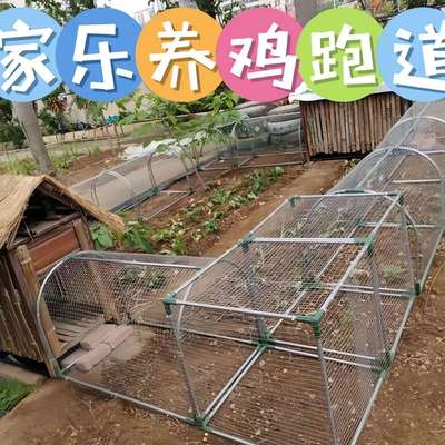 养鸡兔笼鸡笼子农场跑道农家铁网隧道用溜达笼子散养鸡笼庭院户外