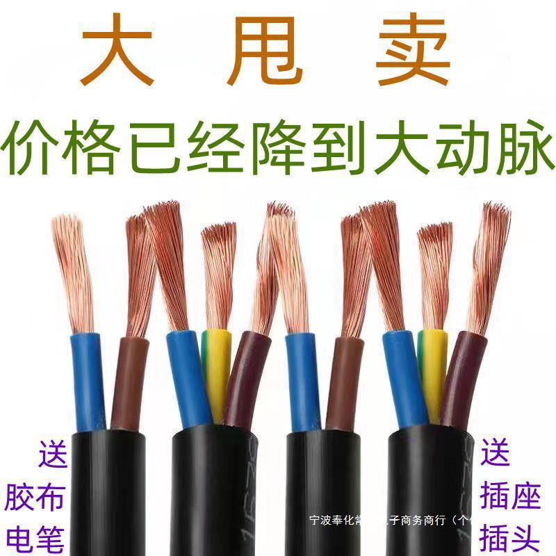 国标RVV2芯3芯电缆线1 2.5 4 6户外家用防水延长电源防冻软护套线