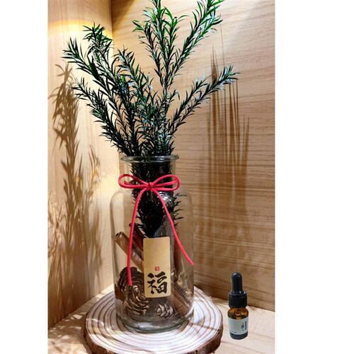 肉桂生财瓶摆件发财diy装饰招财客厅财位乔迁新居礼品新年礼品