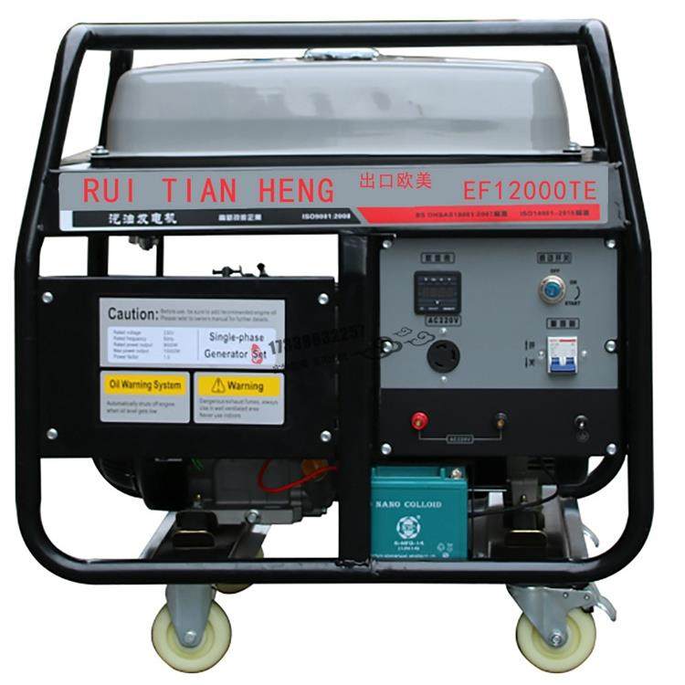 11kw汽油发电机组13kva汽油发电机EF12000TE电动单相220V/380V,鲜花速递/花卉仿真/绿植园艺,割草机/草坪机,淘宝优惠券,粉丝福利购,淘宝优惠卷