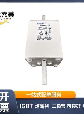 170M5139 170M5018 快速熔断器 保险丝 电子元器件 量大价优
