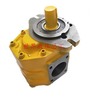 B40远B5C液压泵 油泵0震B 齿轮泵