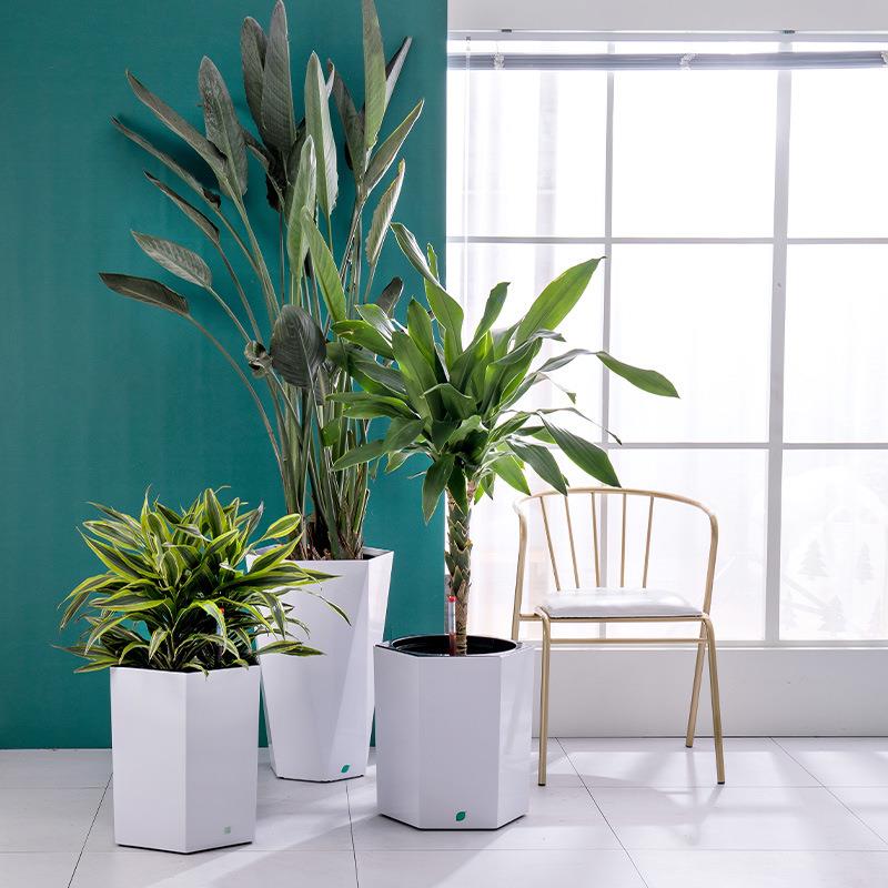 多边形直塑落地阳台客厅花盆北欧风简约时尚懒人自吸水绿植种植盆