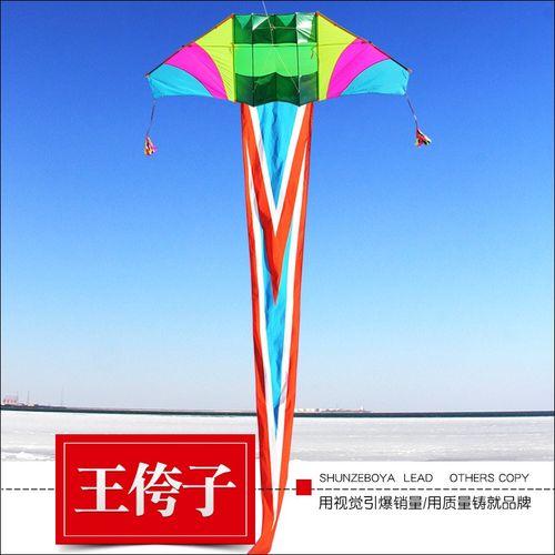 2025a王侉子3米4米滑翔机新品潍坊544软伞布碳杆微风大型成人风筝