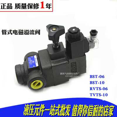 RVTS-06-3管式电磁溢流阀SRV-06T-H-2B3B-A240 D24-N1 SRV-10T