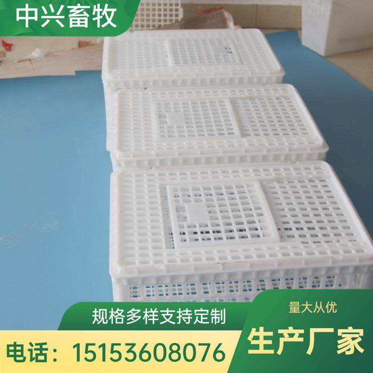 可组装塑料运输鸡筐 可重叠周转鸡筐 装鸭笼子方形大鸡筐生产厂家