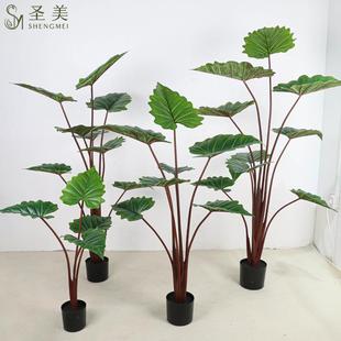 仿真富贵彩虹绿植栽家居装饰春芋塑胶假植物北欧盆栽室内龟背