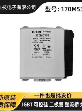 170M6910 170M6918 170M6919 170M6920进口低压熔断器 保险丝