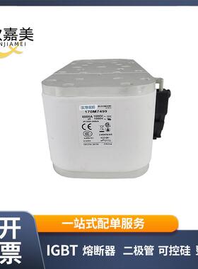 170M7499 170M7804 快速熔断器 保险丝 电子元器件 量大价优