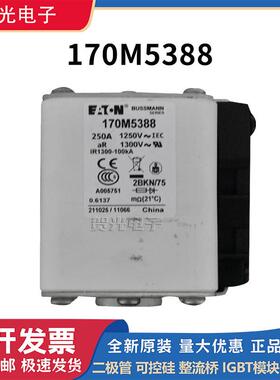 巴斯曼低压熔断器 170M4410 170M5388 170M5447先拍现货 原装进口