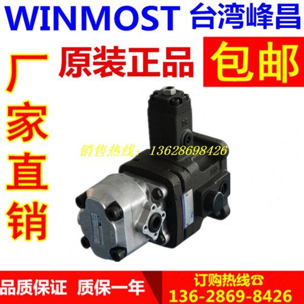 VP-DG-30-B+PA VP-DG-40-D+PA C B WINMOST 台湾峰昌 变量叶片泵