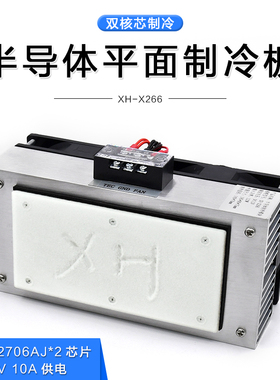XH-X266 12V120W制冷模块 半导体降温制冷器 平面制冷板 制冷模组