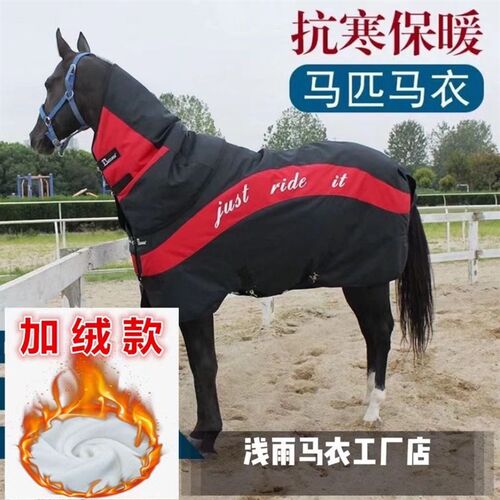 字母款加厚马衣 n颗粒绒冬季马衣 特厚款大马马驹马衣