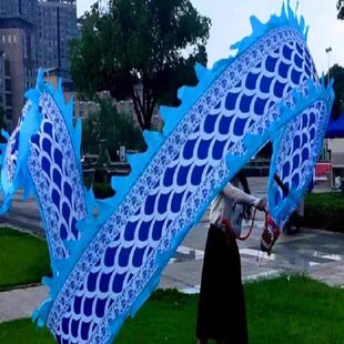 舞健身广场彩带龙龙甩布龙龙飞单人甩舞老人龙龙头运动龙龙飘带中