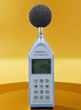 环境声级计298B噪声频谱分析仪倍频程测量H噪声S6噪音计嘉兴恒升