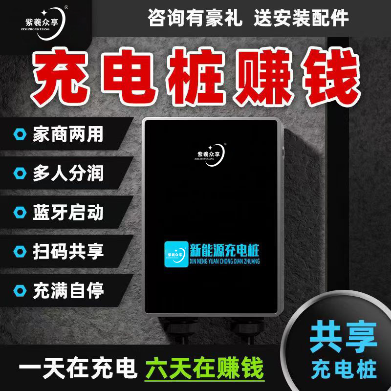 紫羲新能源充电桩商用电动车充电枪充电器特斯拉防护短路保护便携