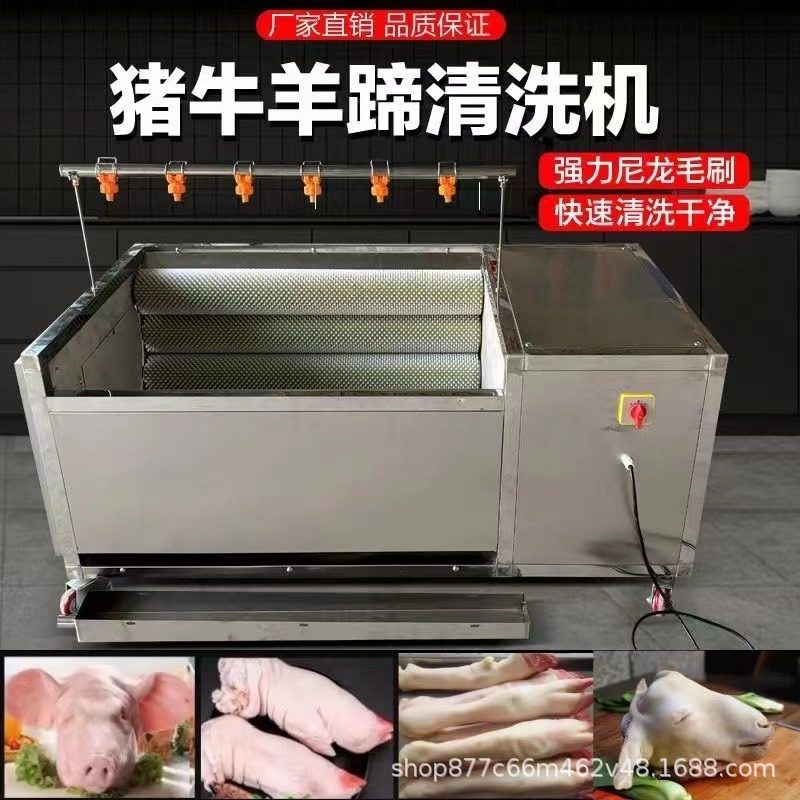 猪头猪蹄清洗机羊头羊蹄清洗机洗猪头羊头蹄机多功能毛刷辊清洗机,清洗/食品/商业设备,洗果机/洗菜机,淘宝优惠券,粉丝福利购,淘宝优惠卷