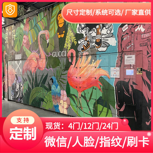 微信扫码智能储物柜/共享收费寄存柜/河南景点学校小区自动外卖柜