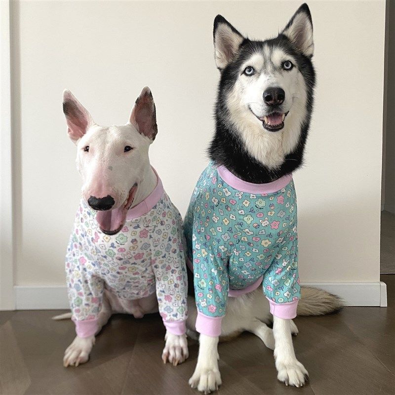 小碎花护肘服春夏透气宠物大型犬护膝套大狗保护袖套金毛牛头梗,宠物/宠物食品及用品,猫宠物服装/雨衣（新）,淘宝优惠券,粉丝福利购,淘宝优惠卷