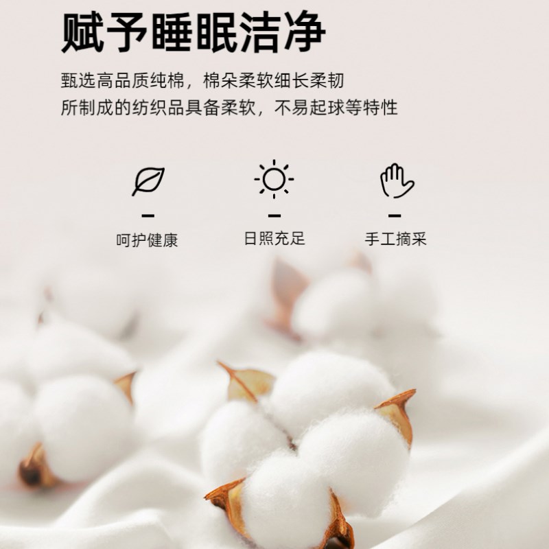 2024新款加厚磨毛纯棉床单单件100全棉宿舍单人床单三件套被单罩