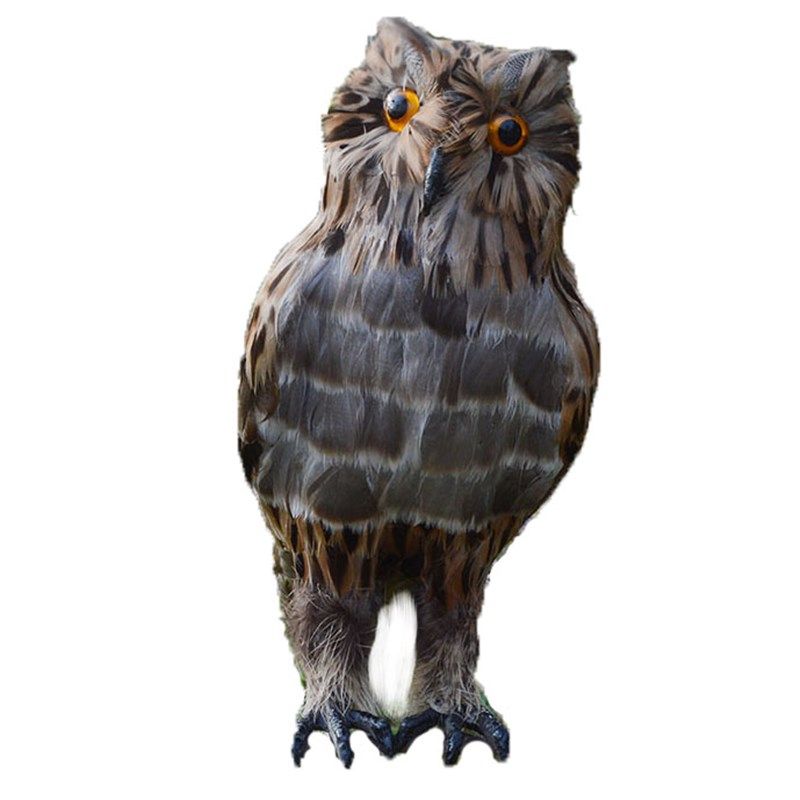 仿真猫头鹰动物模型吓鸟工具真羽毛鸟类饰品摆件庭院超市森林道具