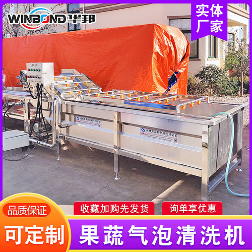 菠菜小油菜清洗除杂设备 果蔬清洗流水线  蘑菇气泡清洗机设备