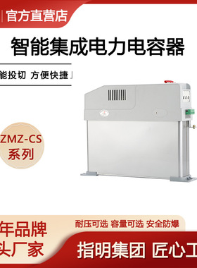 指明厂家ZMZ-CS/450-10智能集成电力电容器 三相共补分相补偿电容