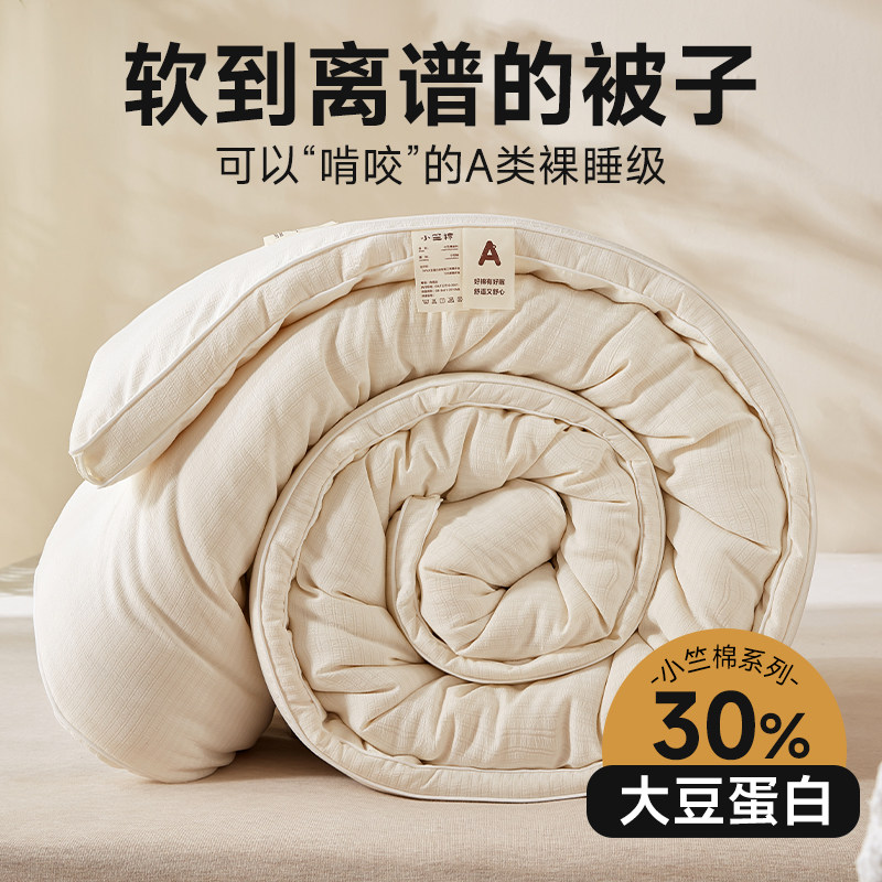 A类大豆纤维被子冬被学生宿舍加厚保暖春秋空调被芯冬季单人棉被,床上用品,化纤被,淘宝优惠券,粉丝福利购,淘宝优惠卷