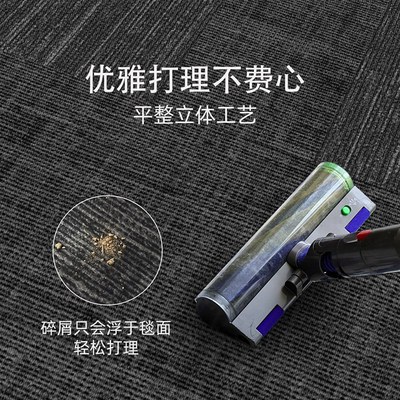 入户门地垫2025新款高级感进门门口脚垫家用耐脏免洗门外玄关地毯