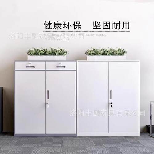 丰融拆装文件带柜铁皮矮柜务资料柜现代简约档案收纳柜锁财物0.8m