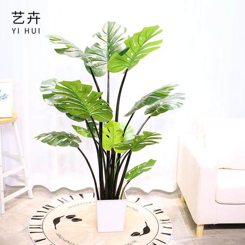 绿植龟背竹YH-2-75落地栽背叶造景植物盆室内客厅厅布景室龟内装