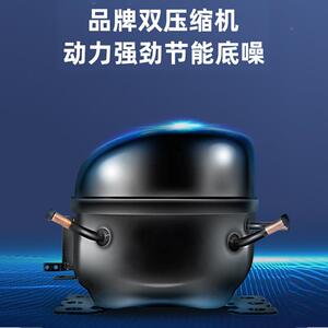凯特便利店冷柜母柜商用丽超市冷冰淇淋柜雪225糕柜全冻一子体展