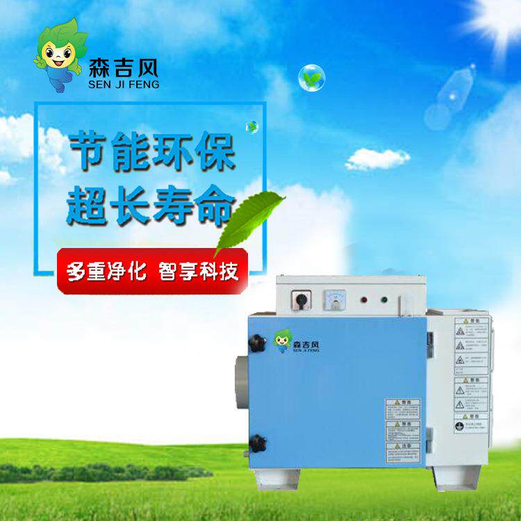 厨油汽净化器备化DQG空气森吉环设境科技净油雾餐饮油烟房超静
