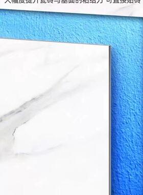 防水涂料生间11室内墙面砂浆渗厨透剂补漏卫SHJ泳房鱼池厕所池